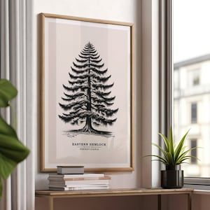 May include: A black and white illustration of an Eastern Hemlock tree, the state tree of Pennsylvania, on a light pink background. The illustration is framed in a light wood frame.