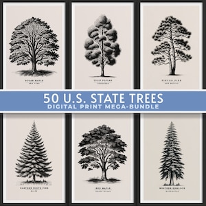 50 State Trees Vintage Sketch Bundle, Forest Print, Antique Tree Drawings, Botanical Art, Farmhouse Art Set, Nature Sketch, DIGITAL DOWNLOAD