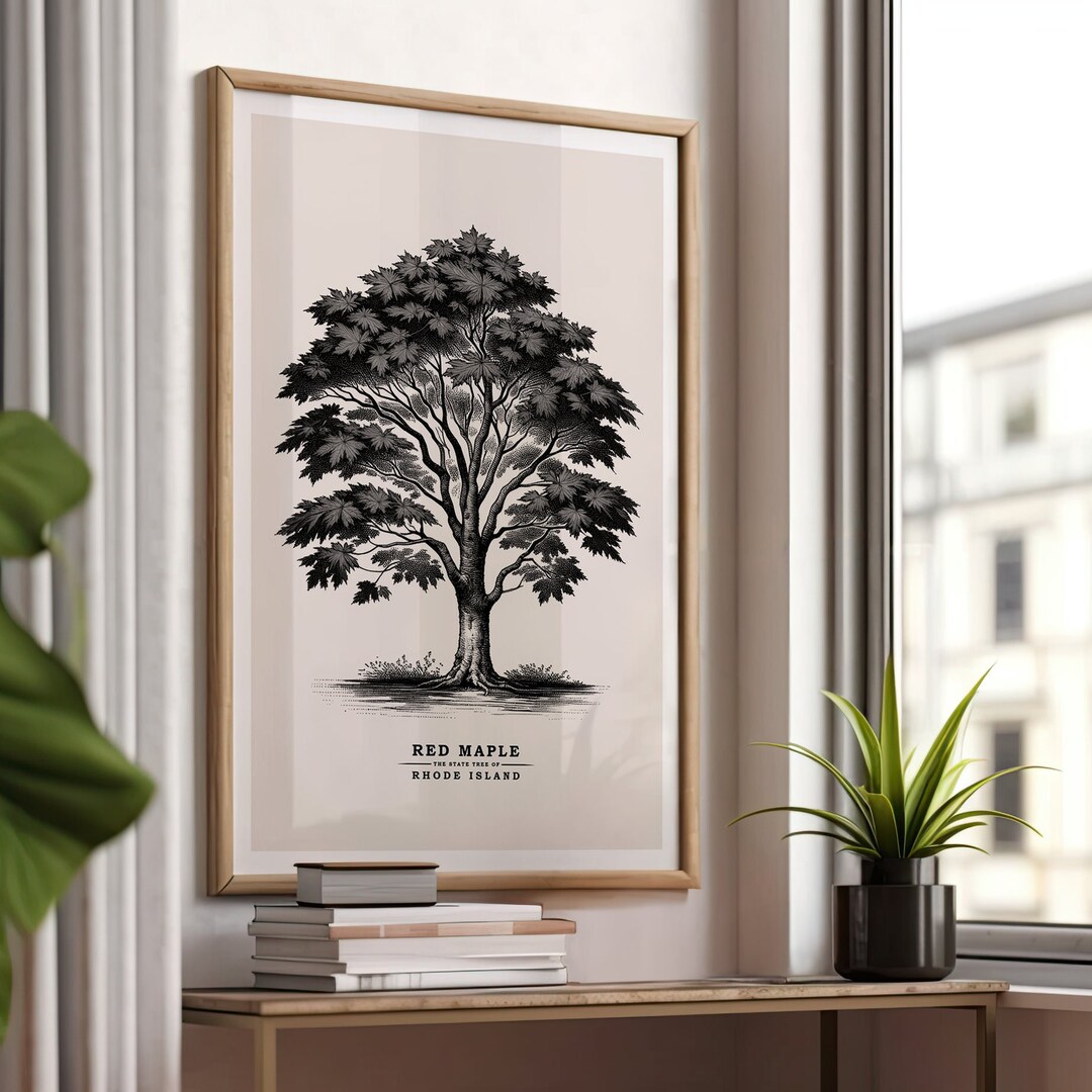 Rhode Island Red Maple, State Tree, Vintage Sketch, Tree Poster ...