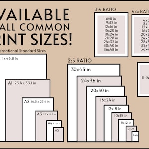 May include: A chart showing common print sizes in inches, including ISO standard sizes, 3:4 ratio, 4:5 ratio, 2:3 ratio, and 11:14 ratio.