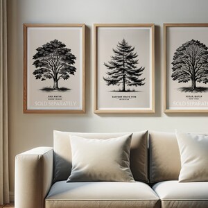 May include: Three framed black and white illustrations of trees. The first image is of a Red Maple tree from Rhode Island. The second image is of an Eastern White Pine tree from Michigan. The third image is of a Sugar Maple tree from New York. Each image has the name of the tree and its location printed below the image. The text "SOLD SEPARATELY" is printed below the name of each tree.