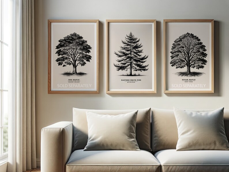 May include: Three framed black and white illustrations of trees. The first image is of a Red Maple tree from Rhode Island. The second image is of an Eastern White Pine tree from Michigan. The third image is of a Sugar Maple tree from New York. Each image has the name of the tree and its location printed below the image. The text "SOLD SEPARATELY" is printed below the name of each tree.