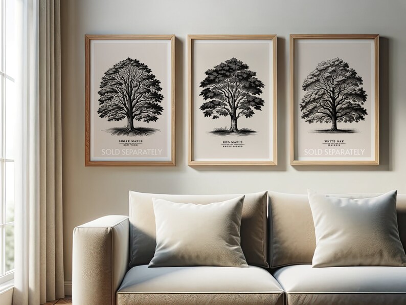 Rhode Island Red Maple, State Tree, Vintage Sketch, Tree Poster ...