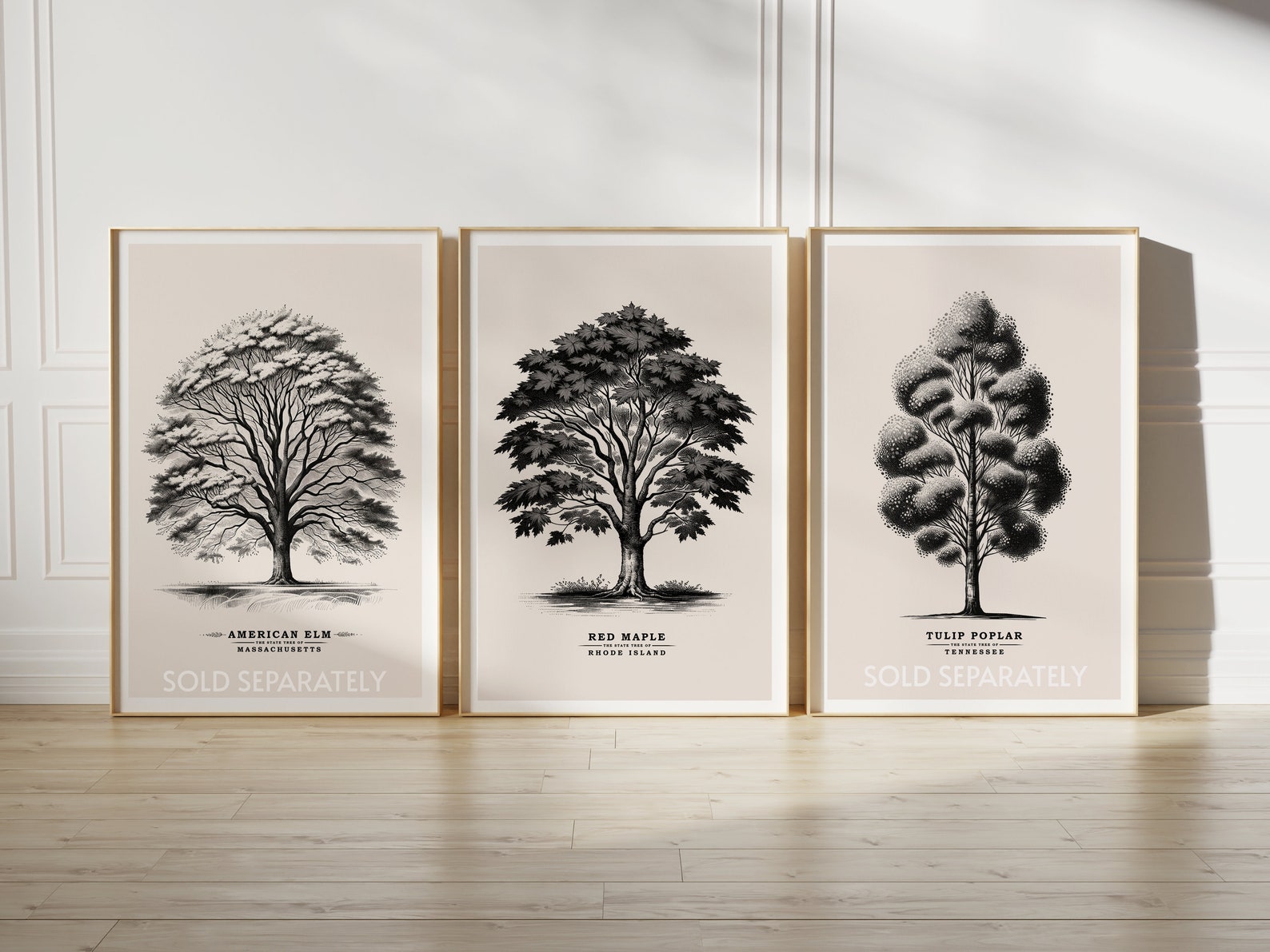 Rhode Island Red Maple, State Tree, Vintage Sketch, Tree Poster ...