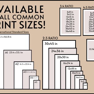 May include: A chart showing common print sizes in inches, including ISO standard sizes, 3:4 ratio, 4:5 ratio, 2:3 ratio, and 11:14 ratio.