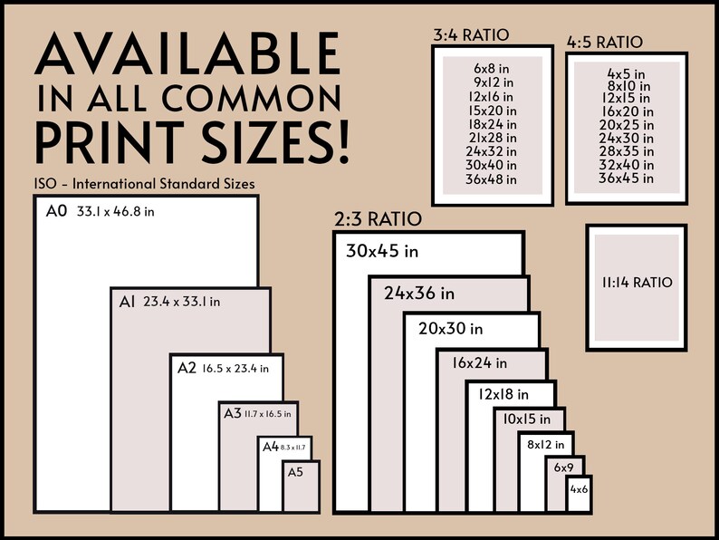 May include: A chart showing common print sizes in inches, including ISO standard sizes, 3:4 ratio, 4:5 ratio, 2:3 ratio, and 11:14 ratio.