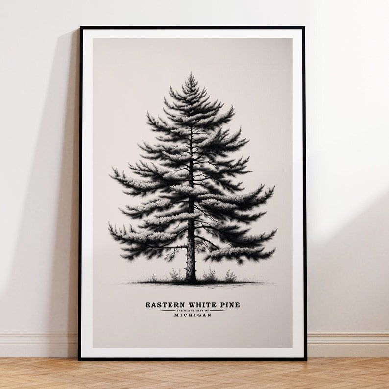 May include: A black and white illustration of an Eastern White Pine, the state tree of Michigan. The image is framed in a black frame and has a white background.