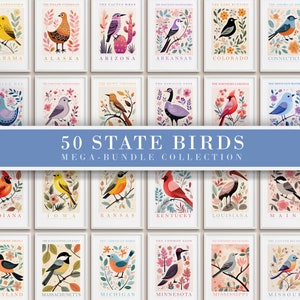 Conjunto de pared con galería de aves de los 50 estados, paquete de los 50 estados, impresiones de aves, carteles de moda, arte colorido, aviar, descarga digital instantánea, regalo
