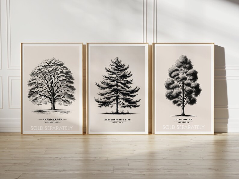 May include: Three black and white illustrations of trees on a beige background. The trees are labeled "American Elm", "Eastern White Pine", and "Tulip Poplar" with their respective states. Each illustration has the text "Sold Separately" at the bottom.