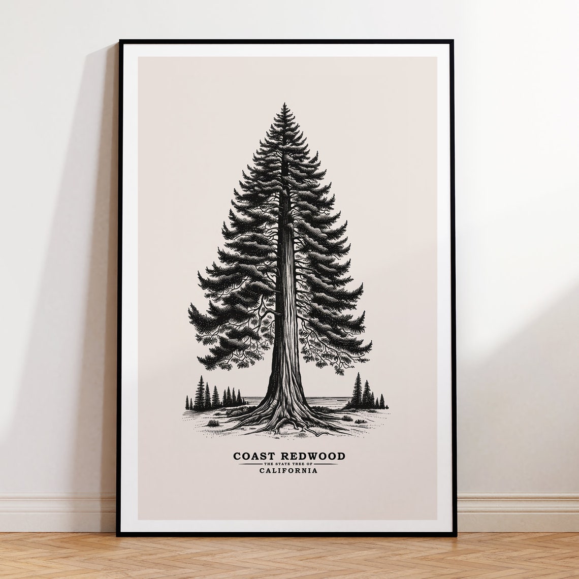 California Coast Redwood State Tree, Vintage Sketch, Tree Poster ...
