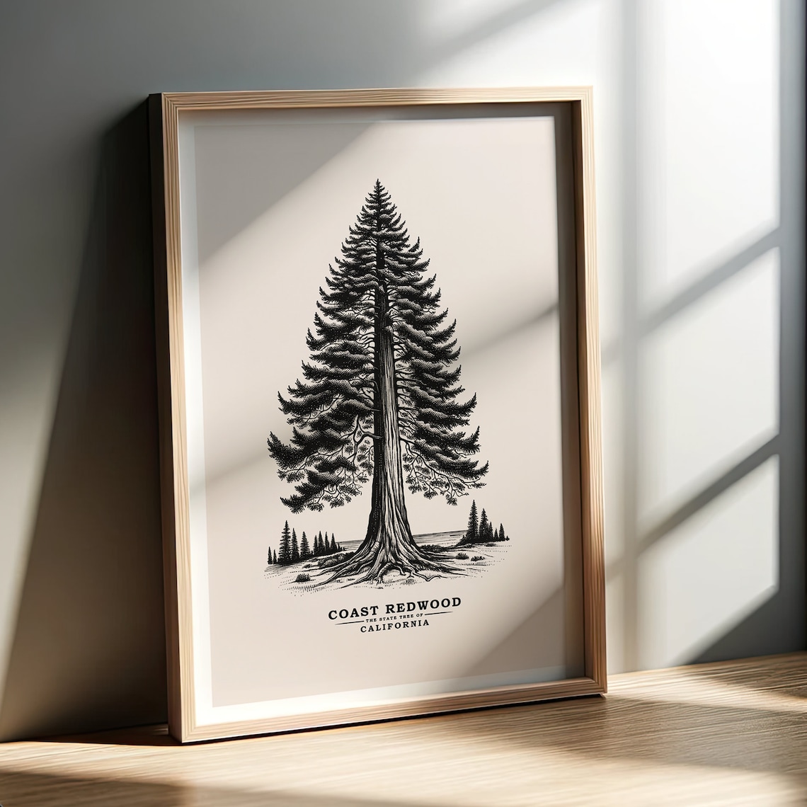 California Coast Redwood State Tree, Vintage Sketch, Tree Poster ...
