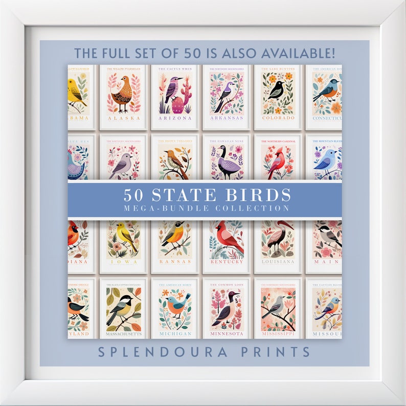 May include: A collection of 50 illustrated state bird cards. Each card features a colorful illustration of a bird with its state name below. The cards are arranged in a grid with the text "50 State Birds Mega-Bundle Collection" and "Splendoura Prints" at the top and bottom.