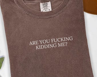 Comfort Colors Are You Kidding Me Minimalist Shirt, Gen Z T-Shirt, Oversized Girl TShirt, Weirdcore Best Friend Shirt Unhinged Weird Tee