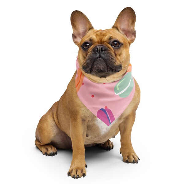 Joli bandana macaron – Parfait pour les chiens et les humains.