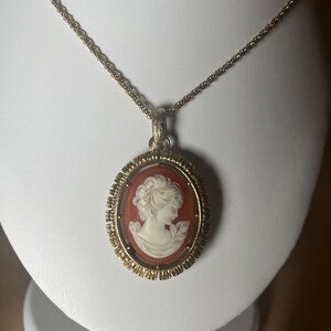 May include: A gold chain necklace with a cameo pendant. The cameo is oval shaped and features a white profile of a woman with a brown background.