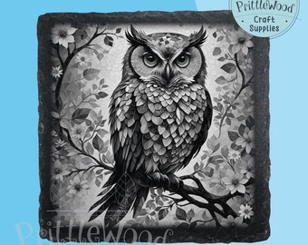 Eule Laser Gravur PNG-Datei, Schieferkunst, Glowforge, Xtool (Digitale Datei)