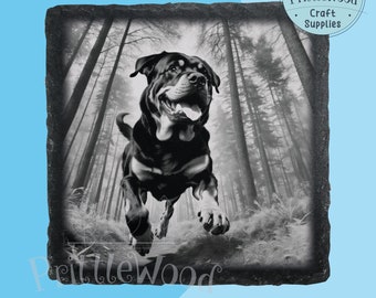 Laser png-fil, laserfil, Lightburn, Xtool, Glowforge, CO2, rottweiler png, 3D-illusion, hundgravyr, skifferlaser, digital hundfil