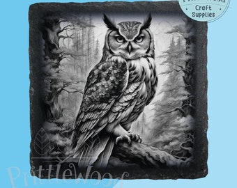 Owl Laser Engraving File, 3D Illusion PNG (Digital File)