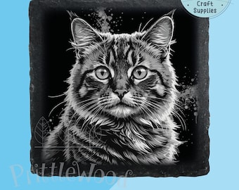 Puede incluir: Ilustración en blanco y negro de la cara de un gato en un posavasos de pizarra negra. El gato tiene una expresión seria y mira directamente al espectador. El posavasos es cuadrado y tiene una textura rugosa.