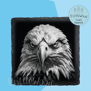 Laser png file, Laser File, Lightburn, Xtool, Glowforge, Co2, american eagle png, 3d illusion, eagle engraving, usa, slate, digital file