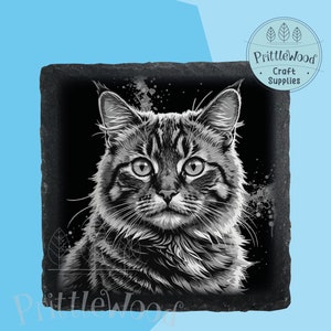 Fichier png laser de chat mignon, fichier laser, Lightburn, Xtool, Glowforge, Co2, png de chat mignon, gravure de chat, laser ardoise, fichier numérique de chat,