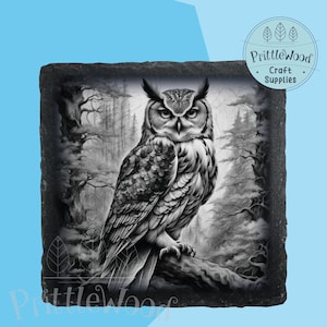 Archivo PNG de búho láser, archivo láser, pájaro, Lightburn, Xtool, Glowforge, Co2, búho sabio PNG, ilusión 3D, grabado de búho, láser de pizarra, archivo digital