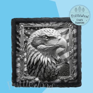 Laser png file, Laser File, Lightburn, Xtool, Glowforge, Co2, american eagle png, 3d illusion, eagle engrave, usa, slate laser, digital file