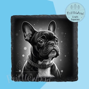 Franse bulldog laser png-bestand, laserbestand, Lightburn, Xtool, Glowforge, Co2, frenchie png, hondengravure, leisteenbestand, Franse bulldog-bestand