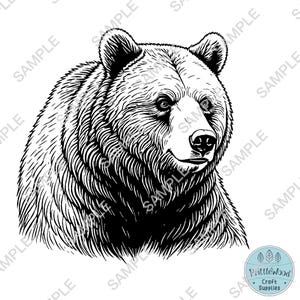 May include: Black and white line art illustration of a bear's head. The bear has a thick coat of fur and a serious expression.