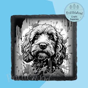 May include: Black and white illustration of a doodle dog with a splash of paint background. The dog is looking directly at the viewer. The image is printed on a black slate coaster.