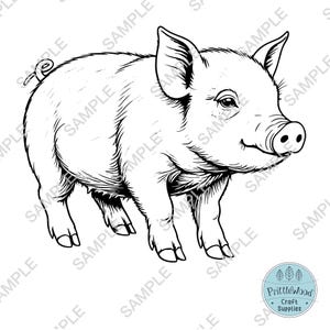 Piglet Png, piglet Svg, glowforge svg, lightburn file, laser engrave, pig Svg, laser file, piggy Clipart Vector Cutting, engraving file