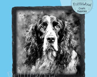 May include: Black and white illustration of a Springer Spaniel dog with a watercolor background. The dog is looking up with its ears perked. The image is printed on a black slate coaster.