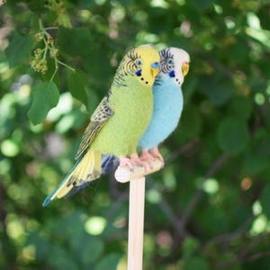 Needle Felted Pet, Felt Parrot, Parrot Enthusiast Gift, Felt Animal Sculpture, Parrot Ornament, Felt Parrot Deco, Animal Lover&#39;s Gift