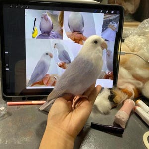 Needle Felted Pet, Felt Parrot, Parrot Enthusiast Gift, Felt Animal Sculpture, Parrot Ornament, Felt Parrot Deco, Animal Lover&#39;s Gift