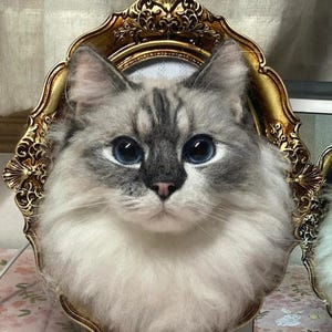 Wool Felt Cat Portrait in Frame – Custom 3D Needle Felting Art