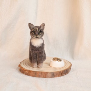 Mini Felted Wool Cat,Felted Wool Crafts,Felted Miniature,Small Felted Decorations,Gifts For Her,Gifts For Cat Lovers,Bjd Cat Dolls,Dollhouse
