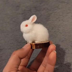 Mini naald vilten konijn, vilt dierensculptuur, vilt konijn ornament, vilt, gesimuleerd konijn, vilt konijn, paasgeschenken, Moederdag cadeau