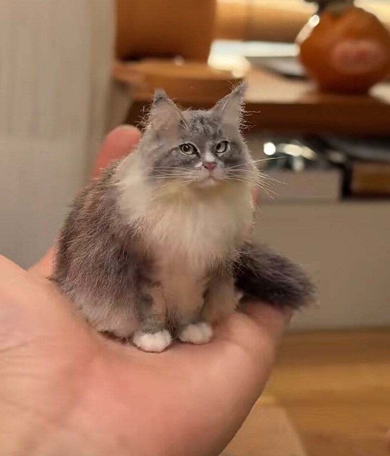 Custom Pet Portrait Felted Catcustom Wool Felting Cat Portraitchristmas