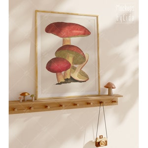 Könnte beinhalten: Eine gerahmte Illustration von drei roten Pilzen mit braunen Stielen und weißen Hüten. Die Illustration ist auf weißem Hintergrund und in einem goldenen Rahmen gerahmt. Der Rahmen hängt an einem Holzregal mit drei kleinen Pilzfiguren.