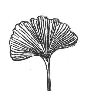 Postcards 'Ginko leaf' - from linoprint' - 5pc