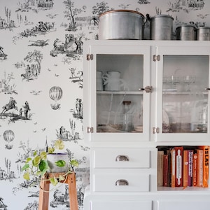 Black and white Toile de jouy historical scenes wallpaper, French country charm with balloon 76