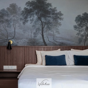 Hazy woodland scene removable & washable wall mural, Atmospheric trees home decor 04