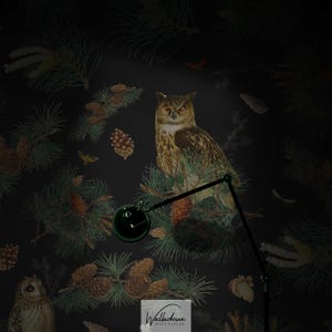 Night owl wallpaper, Woodland owl wallpaper, Dark nature mural, Moody botanical print, Enchanted forest wallpaper 69
