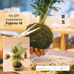 Op de afbeelding: Een DIY Kokedama Palmier M-kit. De afbeelding toont een groene mosbal met een kleine palmboom erin, die wordt bijgesneden met een schaar. De tekst op de afbeelding luidt "Kit DIY Kokedama Palmier M" en "苔玉".
