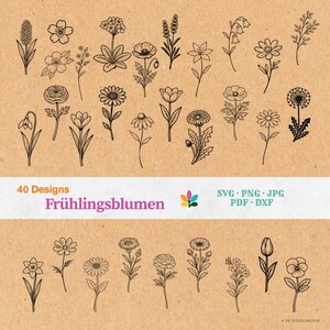 Blommig SVG-plotterfilpaket – Blommönster, vildblommalaserfil, vår-DXF, botanisk teckning | Direktnedladdning