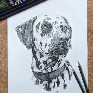写真からのデッサン、個別のモチーフ、ご希望のモチーフを描いてもらう、鉛筆画、木炭画、ギフトアイデア、クリスマスプレゼント