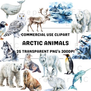 Aquarelle animaux de l'Arctique, clipart, ours polaires, pingouins, macareux, phoques, morses, 25 images PNG pour la fabrication de cartes, décoration, calendriers, usage commercial