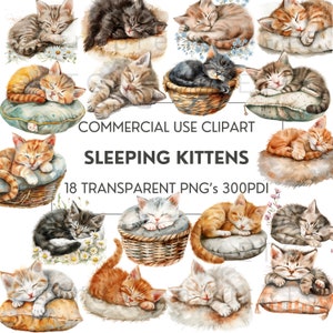 Clipart chaton, 18 chatons endormis aquarelle PNG, Images de chatons mignons, amoureux des chats, lot de cliparts, coussins paniers de fleurs, usage Commercial