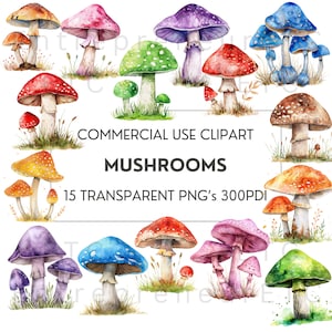 Clipart champignon, 15 PNG champignon aquarelle, fée jardin Cottagecore Transparent Clip Art Bundle, téléchargement numérique, usage Commercial