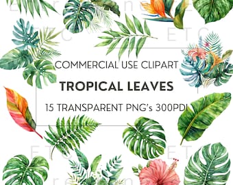 Watercolor Tropical Leaves Clipart, 15 Tropical Jungle Leaves, Monstera PNG, Palm Leaf, Clipart Bundle, PNG File, Transparent Background